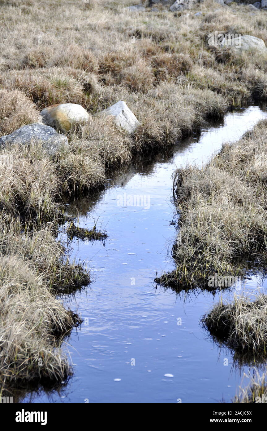 Paysage de montagne avec ruisseau au début du printemps Banque D'Images