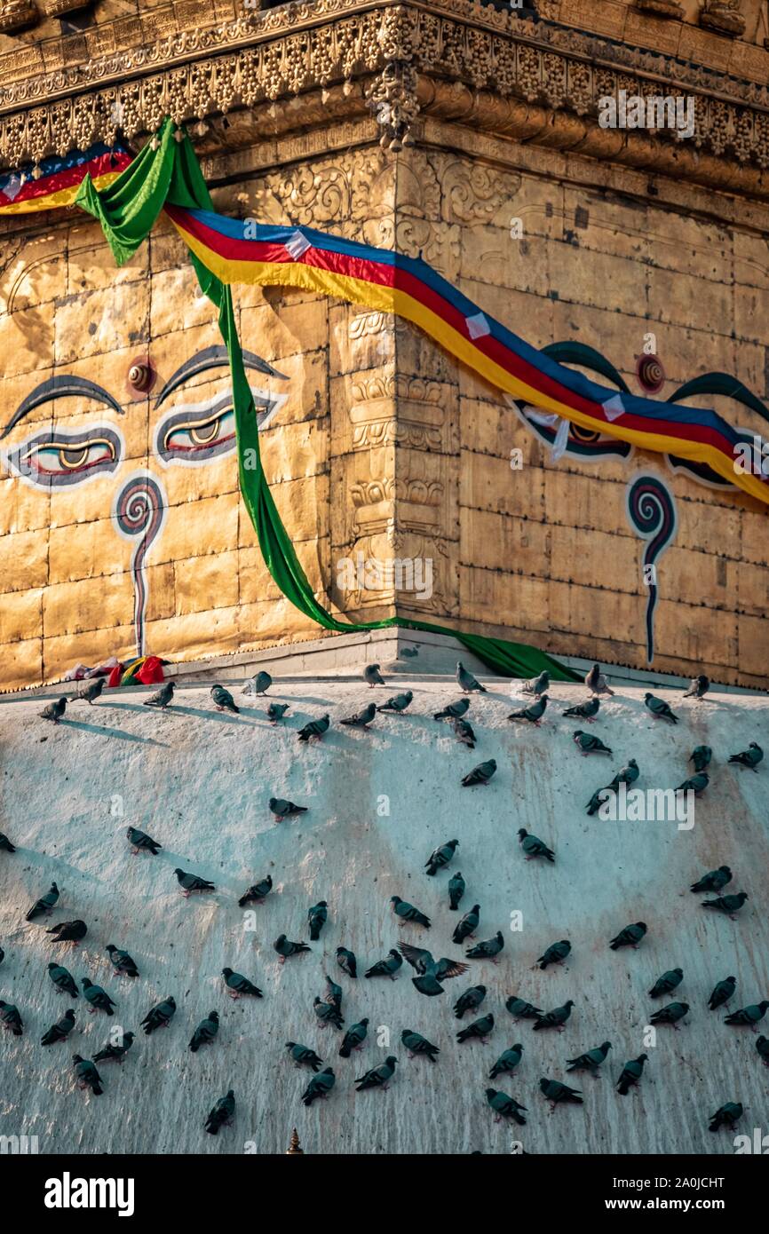 Close up d'Yeux de Bouddha à Swayambhunath Stupa au Népal. Banque D'Images