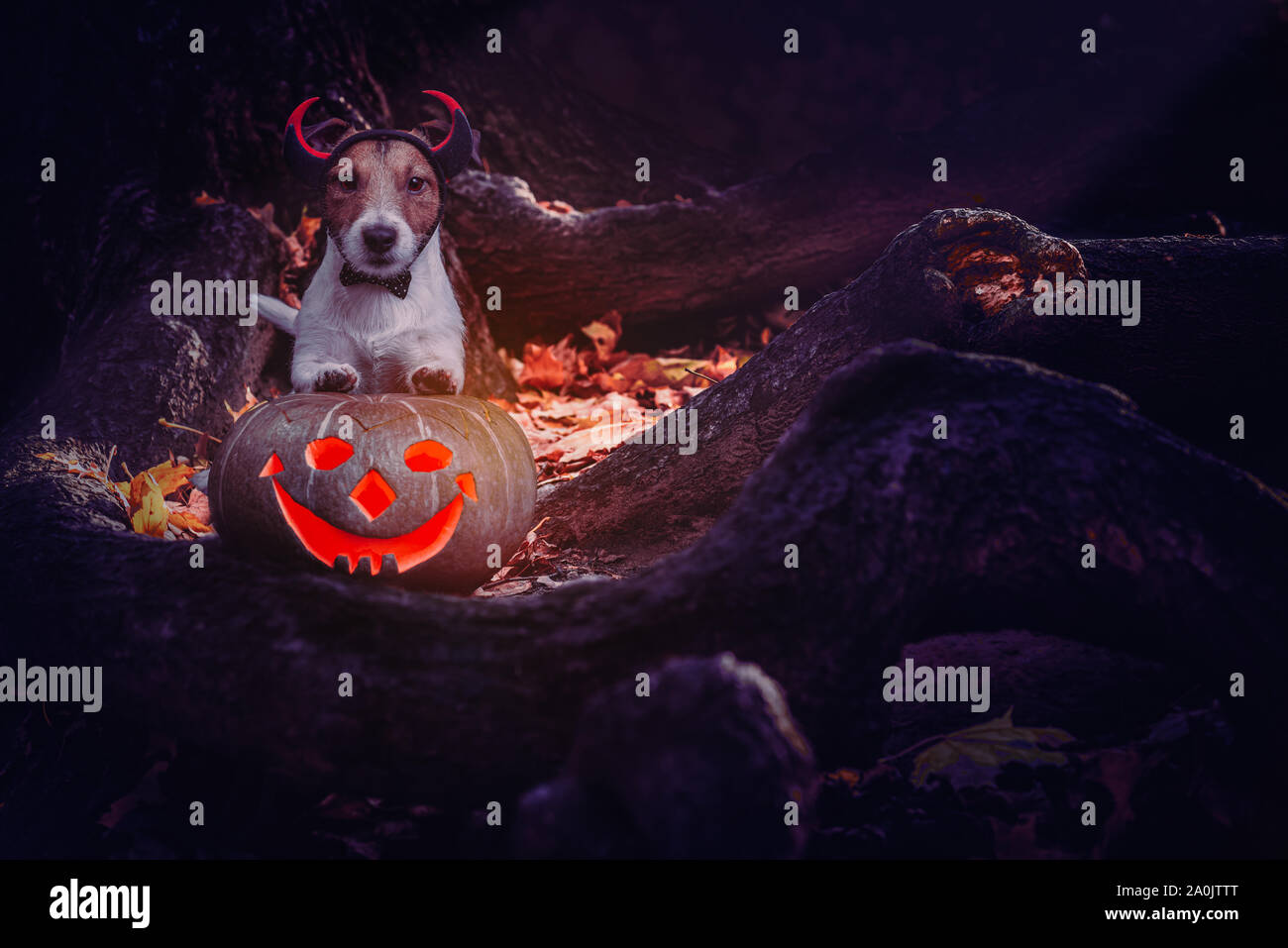 Méfait il porte le costume du diable et jack-o'-lanternes citrouille dans mystère place Banque D'Images