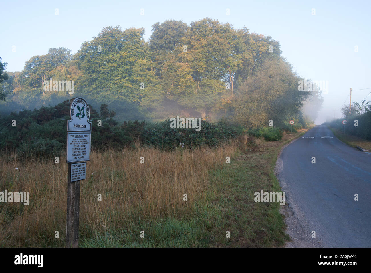 Morning Mist et près de l'entrée de Ling Ride sur une route sans nom près de Ringshall, Ashridge Woods, Hertfordshire, 20 Septembre 2019 Banque D'Images