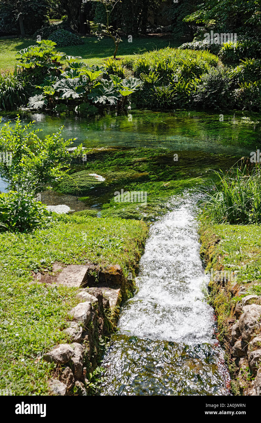 L'eau cascadant gentle steps, étang, vert de la végétation, jardin de Ninfa ; Monument naturel italien ; l'eau qui coule ; tranquille ; Pacifique, Latina Bauvin Banque D'Images