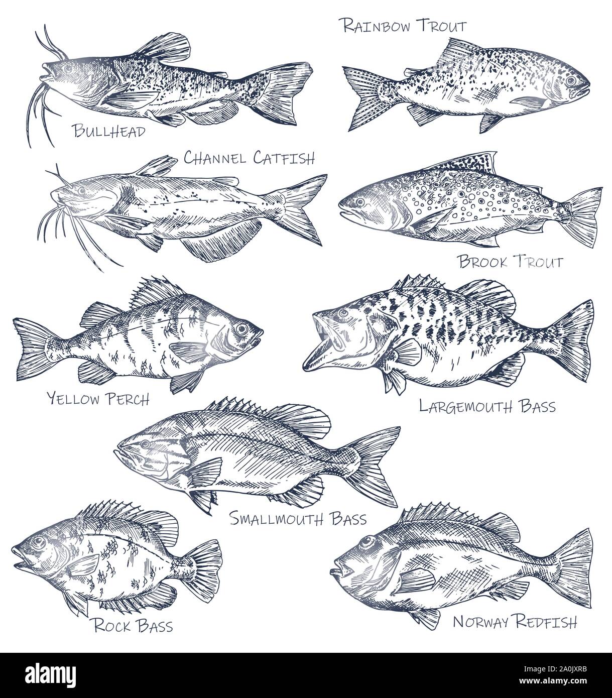 Icônes de croquis ou de fruits de mer Les poissons de l'eau. Pêche à la ligne Illustration de Vecteur