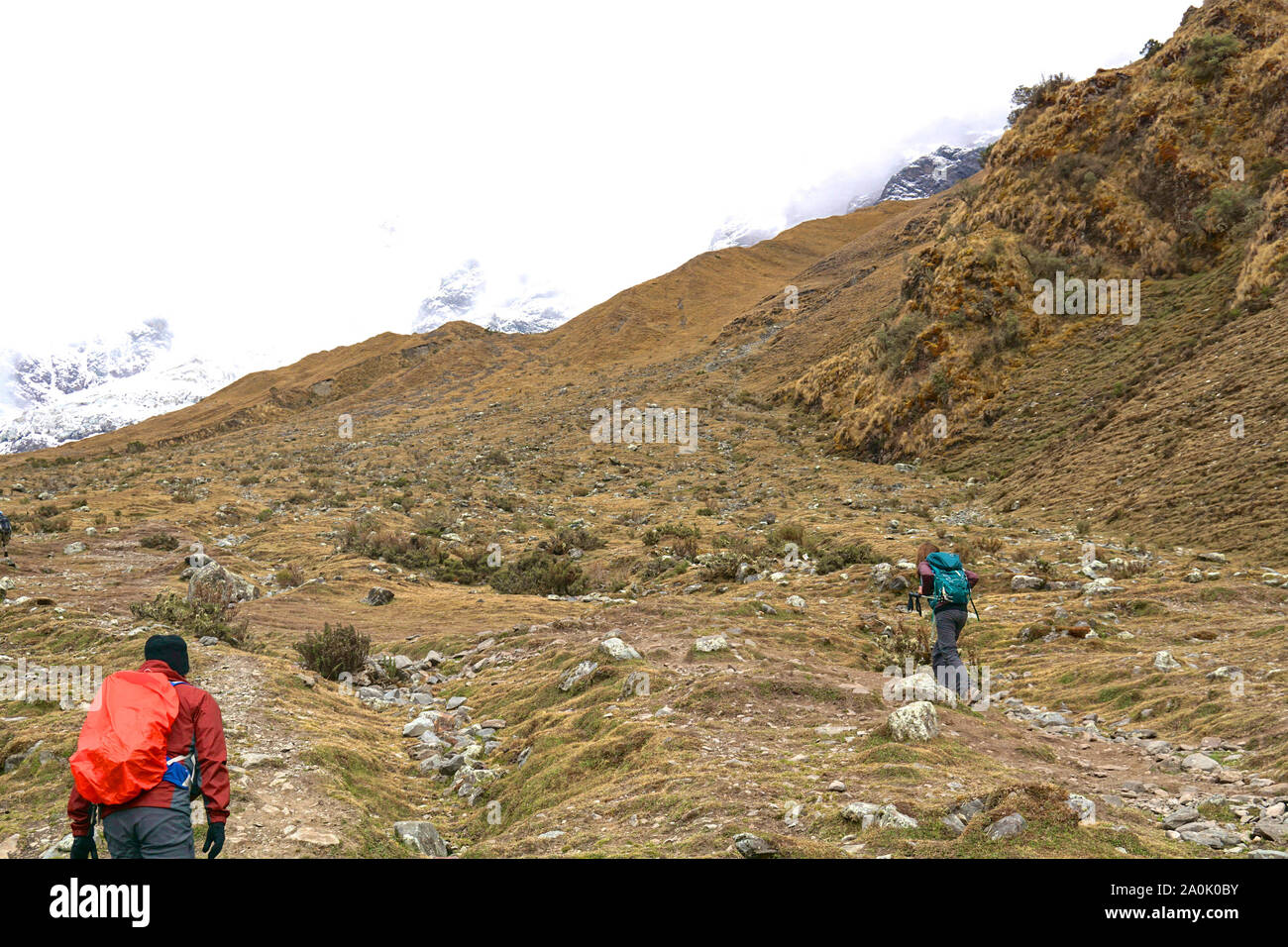 La randonnée de Salkantay au Pérou (parfois appelé le Trek du Salcantay) est l'alternative la plus populaire trek vers le Machu Picchu - il offre aux randonneurs une randonnée exceptionnelle incroyablement diversifiée, est relativement facile d'accès depuis Cusco et contrairement au sentier des Incas, il n'y a pas de limitations de permis. Séjours à travers le sentier des paysages incroyables où jungle lowland highland cède la place à la glaciation alpine et paramètres de montagnes, le plus impressionnant est le Nevada Salkantay. Banque D'Images La randonnée de Salkantay au Pérou (parfois appelé le Trek du Salcantay) est l'alternative la plus populaire trek vers le Machu Picchu - il offre aux randonneurs une randonnée exceptionnelle incroyablement diversifiée, est relativement facile d'accès depuis Cusco et contrairement au sentier des Incas, il n'y a pas de limitations de permis. Séjours à travers le sentier des paysages incroyables où jungle lowland highland cède la place à la glaciation alpine et paramètres de montagnes, le plus impressionnant est le Nevada Salkantay. Banque D'Images