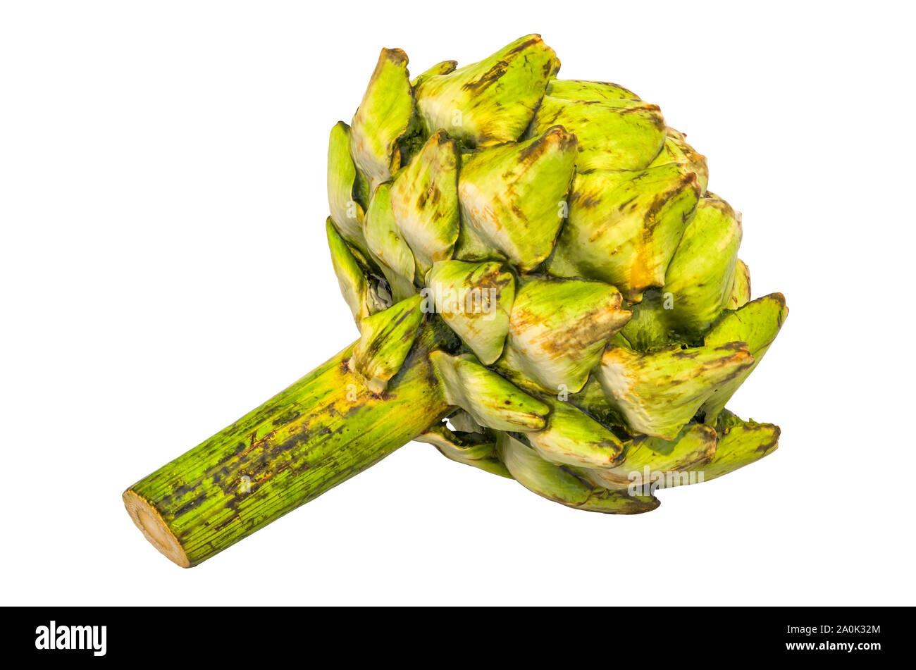 L'artichaut close-up 3D avec rendu texture réaliste Banque D'Images