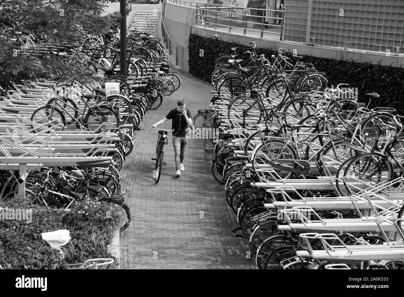 Le stationnement pour vélos, Rotterdam Pays-Bas Banque D'Images