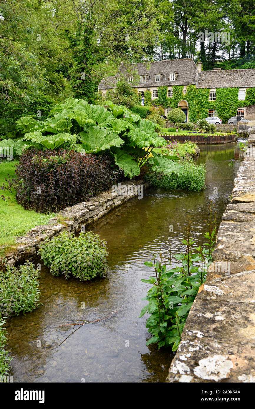 La rivière Colne menant à l'hôtel Swan avec green garden Park plantes dans Bibury Angleterre Gloucester Banque D'Images