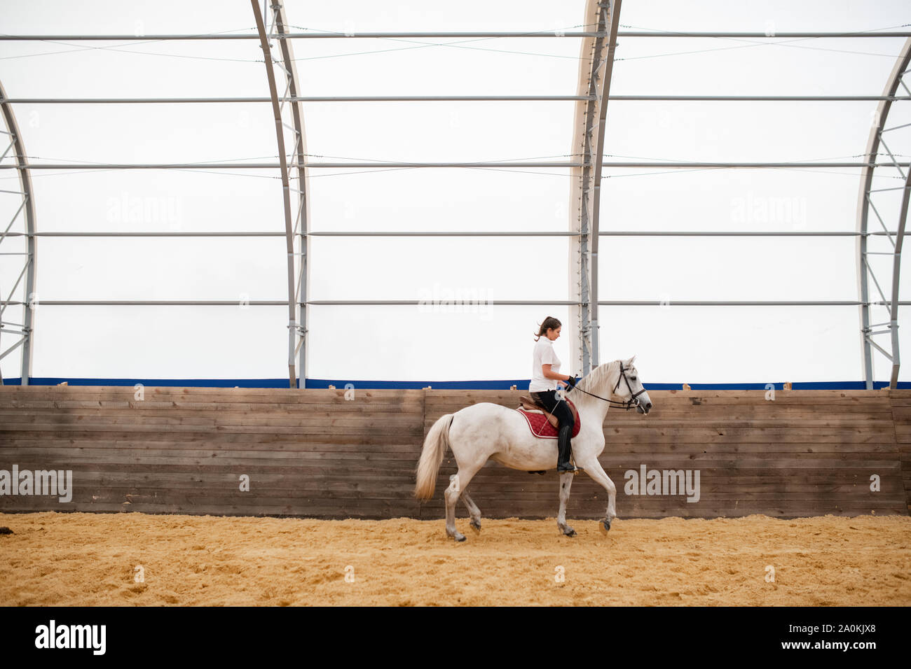 Jeune femme se déplaçant le long d'une clôture en bois alors qu'il était assis à l'arrière du cheval blanc Banque D'Images