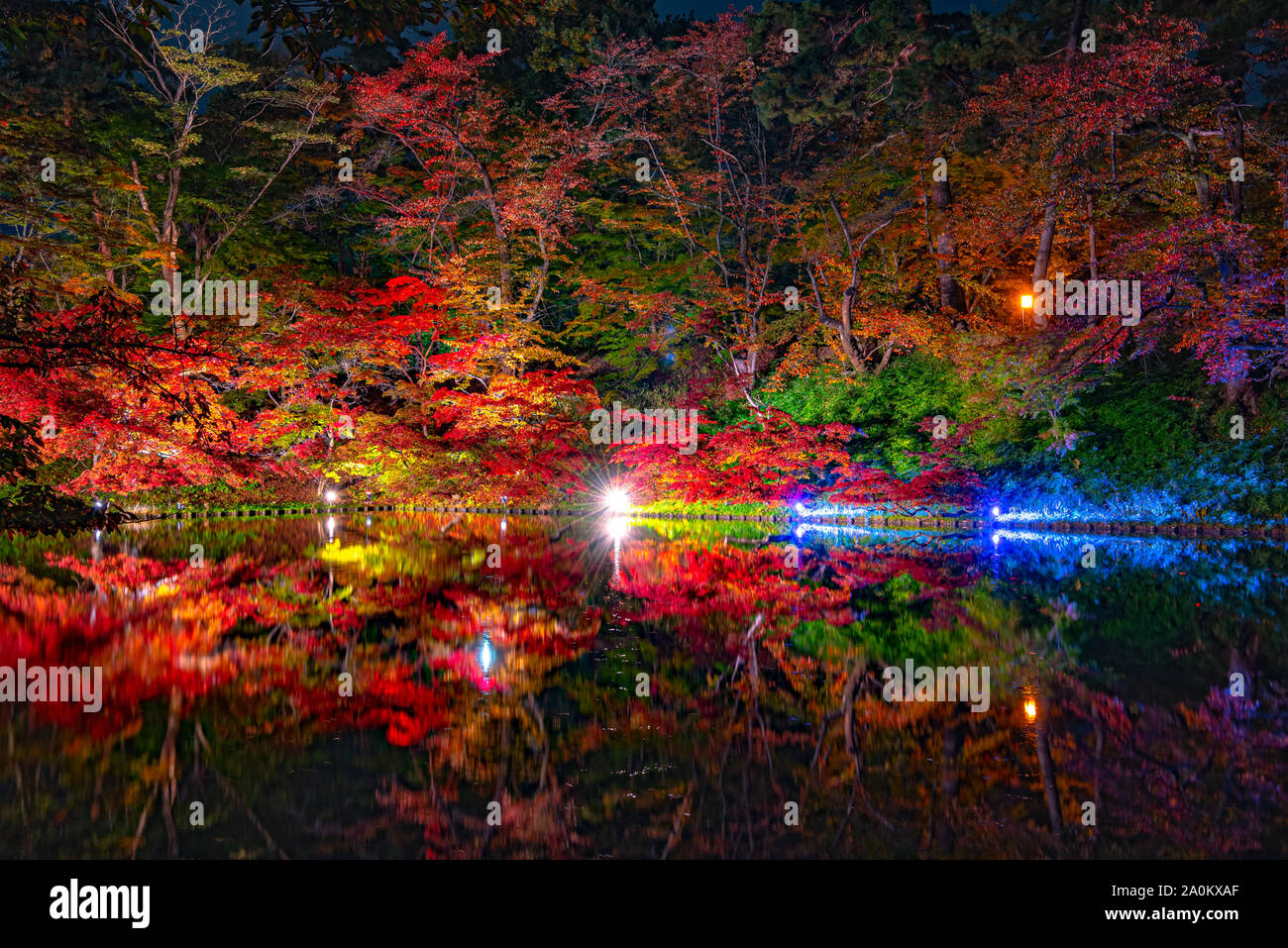 Parc du Château d'Hirosaki feuillage de l'automne vue paysage. De beaux paysages, les douves s'allumer la nuit allumer multicolor reflétant à la surface. Banque D'Images