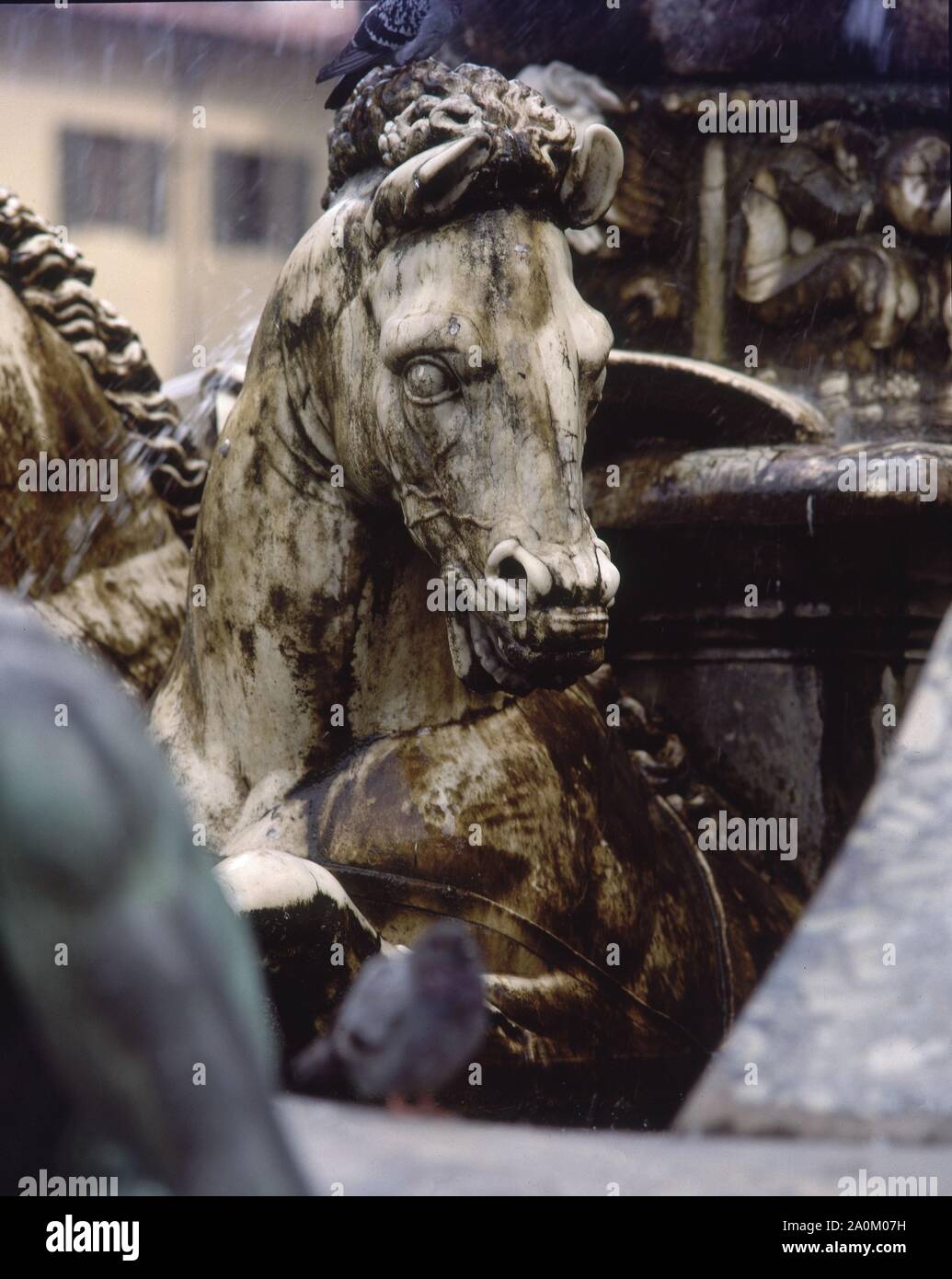 CABALLO MARINO - DETALLE DE LA FUENTE DE NEPTUNO - 1575 - MANIERISMO ITALIANO. Auteur : Bartolomeo Ammannati. Lieu : extérieur. Florenz. ITALIA. Banque D'Images