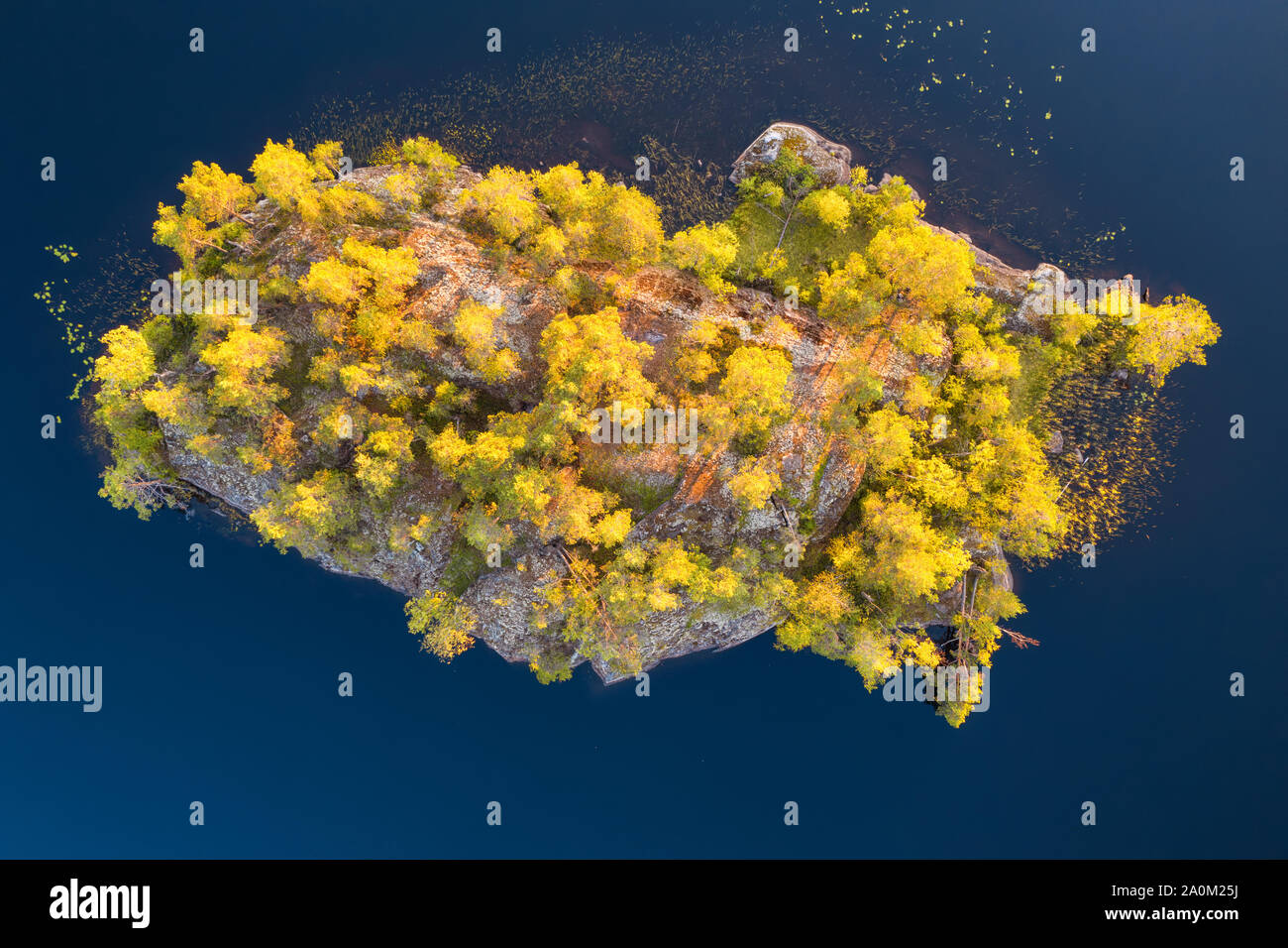 Petite île couverte de forêt idyllique Vue de dessus. Paysage aérien Banque D'Images