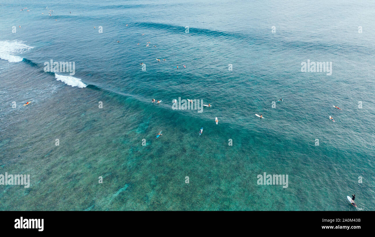 Vue d'un drone d'un groupe de surfers à Hawaii, USA Banque D'Images