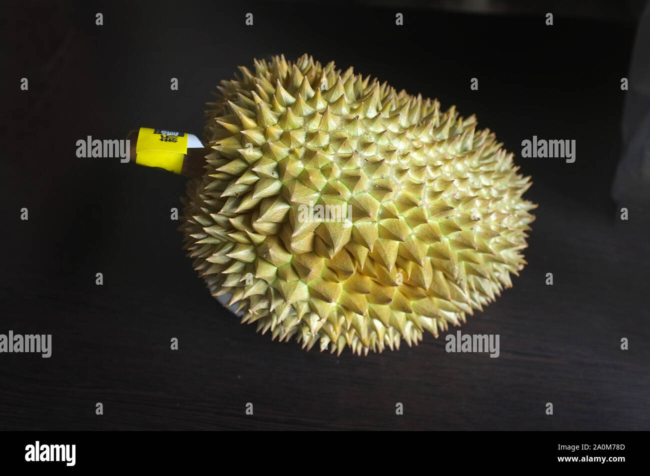 Gros plan du durian fruits , fruits thaïlandais Banque D'Images