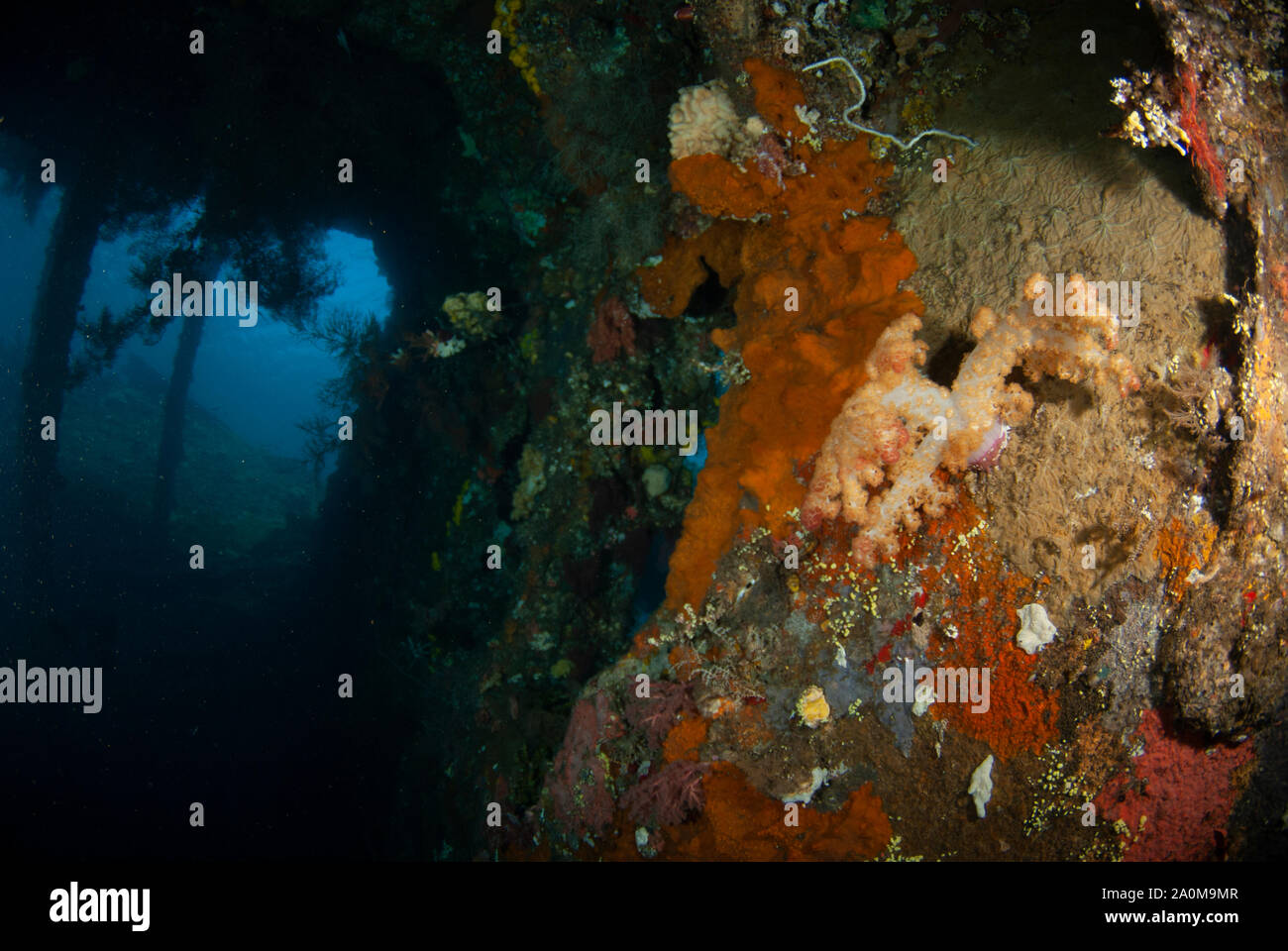 Intérieur d'épave recouvert de corail, site de plongée Liberty Wreck, Tulamben, Karangasem, Bali, Indonésie Banque D'Images