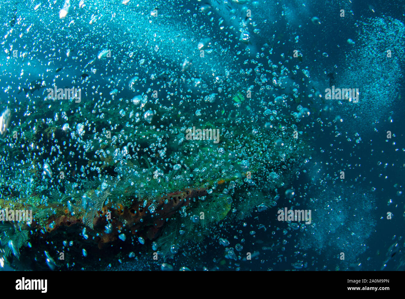 Bulles des plongeurs, site de plongée Liberty Wreck, Tulamben, Karangasem, Bali, Indonésie Banque D'Images