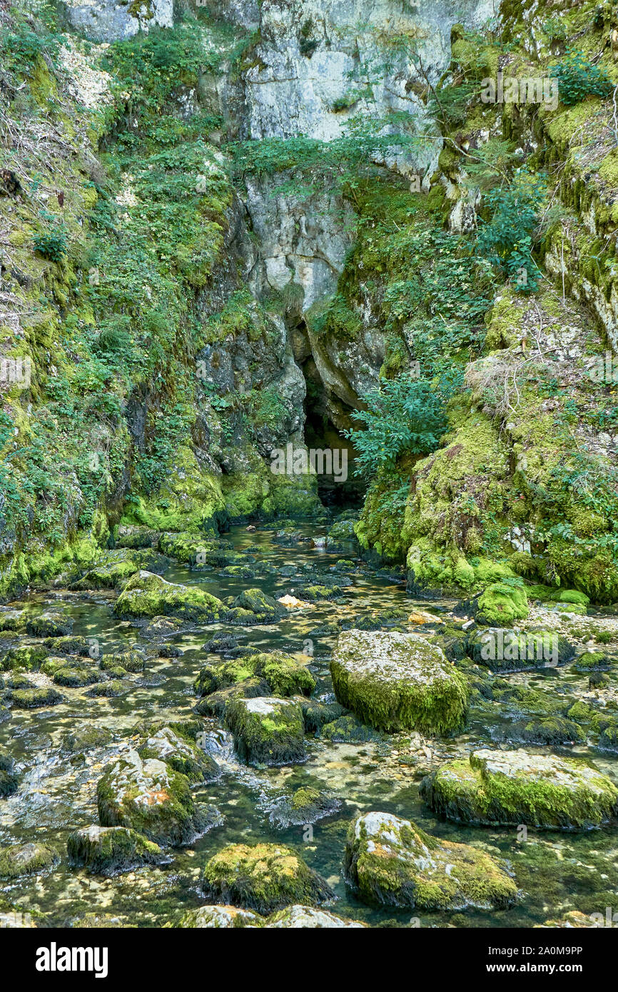 Source du Doubs Mouthe Franche Comté France avec des plantes vertes sur une journée ensoleillée Banque D'Images