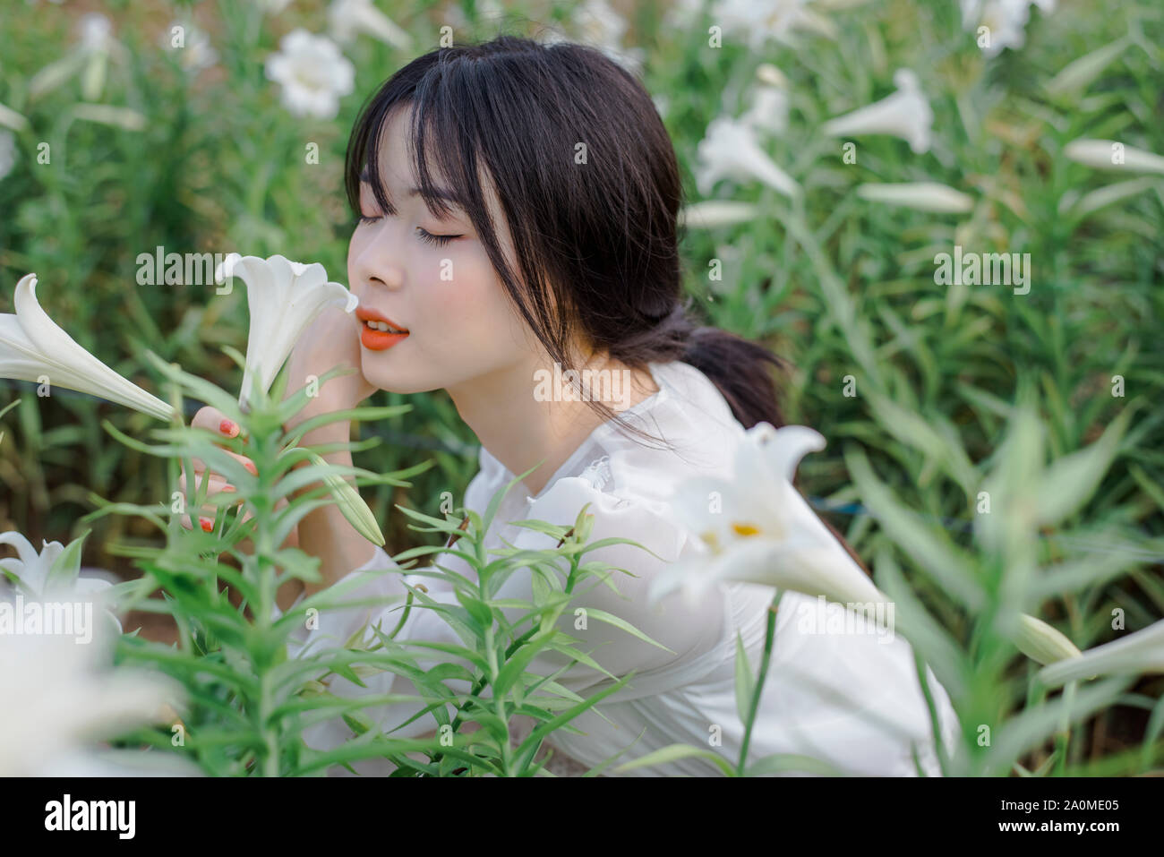 Belle fille avec les lis. avec les yeux profonds et sexy robe blanche Banque D'Images