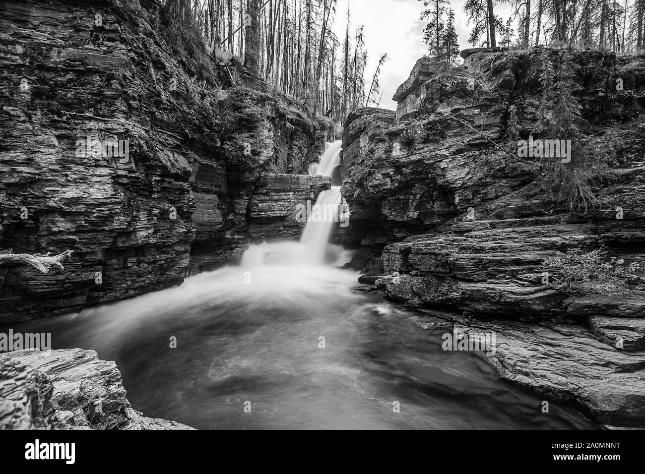 St Mary Falls Trail, le parc national des Glaciers Banque D'Images