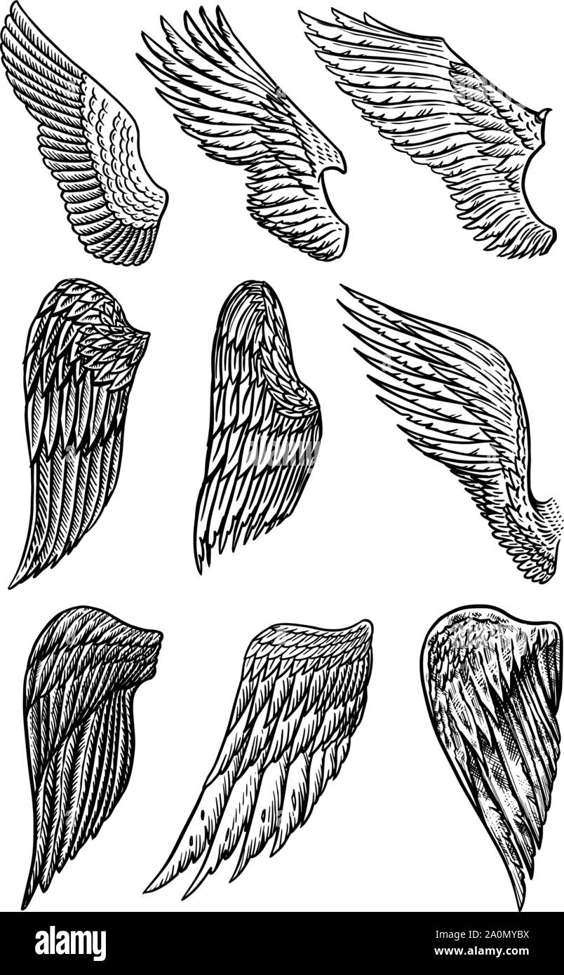 Tatouage Aile D Ange Avec Initiale Ensemble d'ailes d'Ange dans le style vintage. Modèle de tatouage et d'emblèmes,  de t-shirts et le logo. Autocollants pour emblème. Dessin gravé. Vector  illustration Image Vectorielle Stock - Alamy