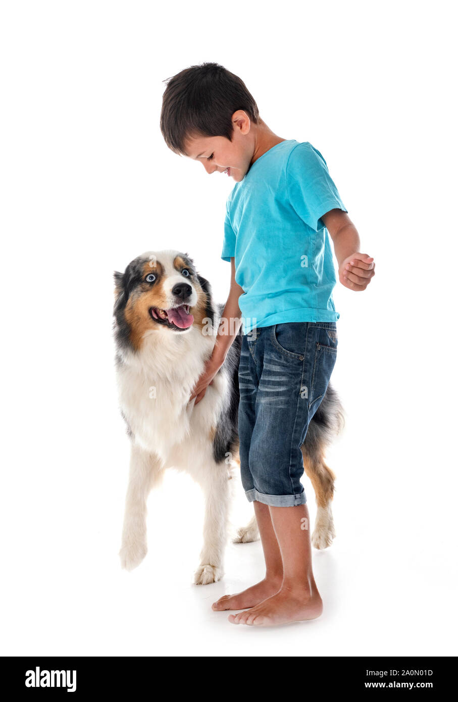 Enfant et chien en font de fond blanc Banque D'Images