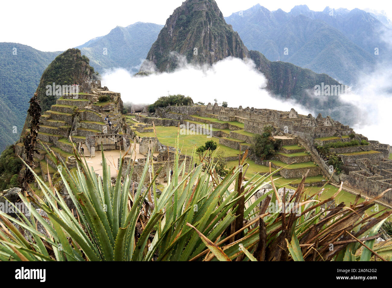 Le Machu Picchu est une citadelle Inca situé en altitude, dans la cordillère des Andes, au Pérou, au-dessus de la vallée de la rivière Urubamba. Construit au 15ème siècle et abandonné plus tard, c'est renommé pour ses murs de pierres sèches que le fusible de blocs énormes sans l'utilisation de mortier, bâtiments fascinants qui jouent sur des alignements astronomiques et vue panoramique. Son ancien usage exact reste un mystère. Il est 7 970 pieds (2 430 mètres) au-dessus du niveau de la mer sur le versant oriental des Andes Banque D'Images Le Machu Picchu est une citadelle Inca situé en altitude, dans la cordillère des Andes, au Pérou, au-dessus de la vallée de la rivière Urubamba. Construit au 15ème siècle et abandonné plus tard, c'est renommé pour ses murs de pierres sèches que le fusible de blocs énormes sans l'utilisation de mortier, bâtiments fascinants qui jouent sur des alignements astronomiques et vue panoramique. Son ancien usage exact reste un mystère. Il est 7 970 pieds (2 430 mètres) au-dessus du niveau de la mer sur le versant oriental des Andes Banque D'Images