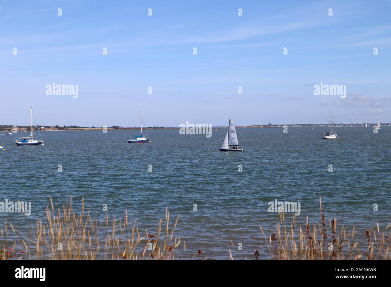 Vue sur la rivière Blackwater avec yachts Banque D'Images
