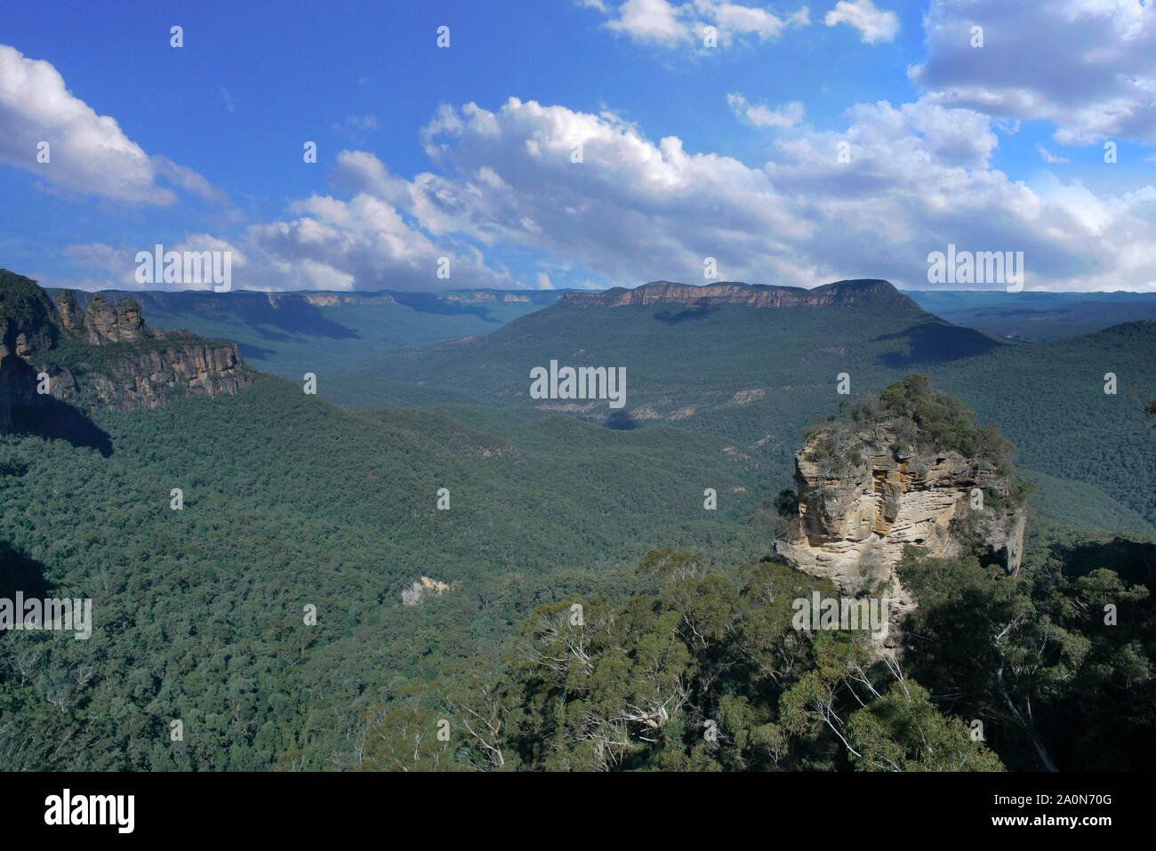 Blue Mountain, Nouvelle-Galles du Sud en Australie Banque D'Images