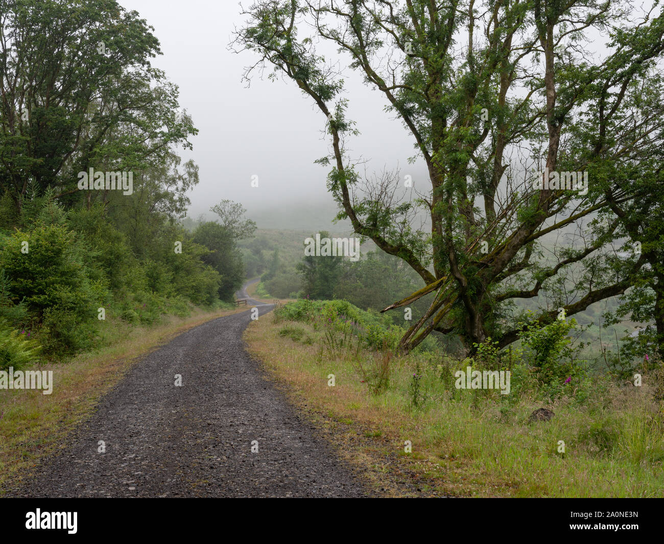 L'ancienne ligne de chemin de fer et de Merthyr Tydfil Brecon constitue maintenant le tracé de la piste de marche et de Brecon Way National Cycle route réseau 8 Dans la Brecon b Banque D'Images