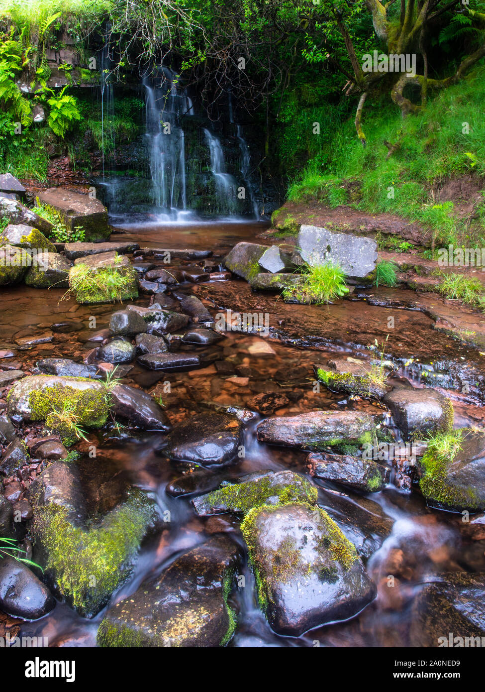 Un ruisseau de montagne dégringole sur une chute d'eau à glyn-y-établissement Blaen dans les Brecon Beacons de Nouvelle-Galles du Sud. Banque D'Images