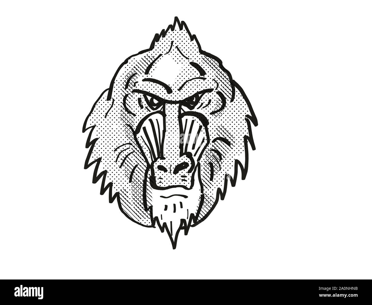 Retro cartoon style dimensions tête d'une espèce de singe Mandrill, une vue de l'avant sur un fond blanc en noir et blanc Banque D'Images