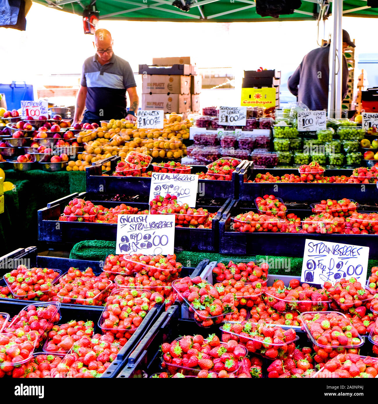 L'opérateur du marché d'été frais de vente y compris les petits fruits mûrs frais Fraises Juteuses Banque D'Images