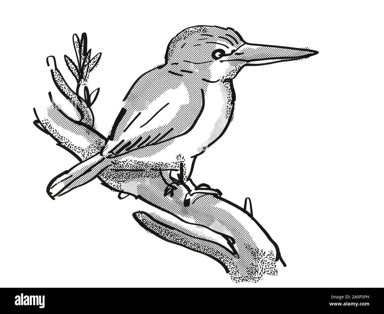 Retro cartoon style dessin d'un martin-pêcheur, un oiseau de Nouvelle-zélande isolées sur fond blanc en noir et blanc Banque D'Images