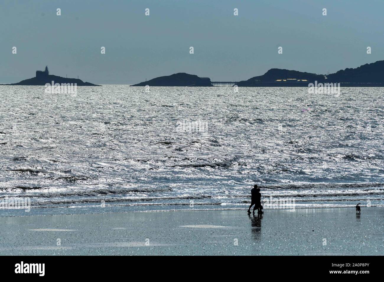 Swansea, Pays de Galles, Royaume-Uni. Samedi, 21 septembre 2019. Le soleil brille sur la mer de la Baie de Swansea, dans le sud du Pays de Galles, Royaume-Uni, comme deux personnes marcher leur chien sur le sable, sur ce qu'on croit être le dernier jour d'été au Royaume-Uni. La météo est attribuable au changement dans les prochains jours, alors que de fortes précipitations dans les prévisions pour rouler dans de l'Atlantique et de mettre un terme à l'été indien au cours de la semaine dernière. Crédit photo : Robert Melen/Alamy Live News. Banque D'Images