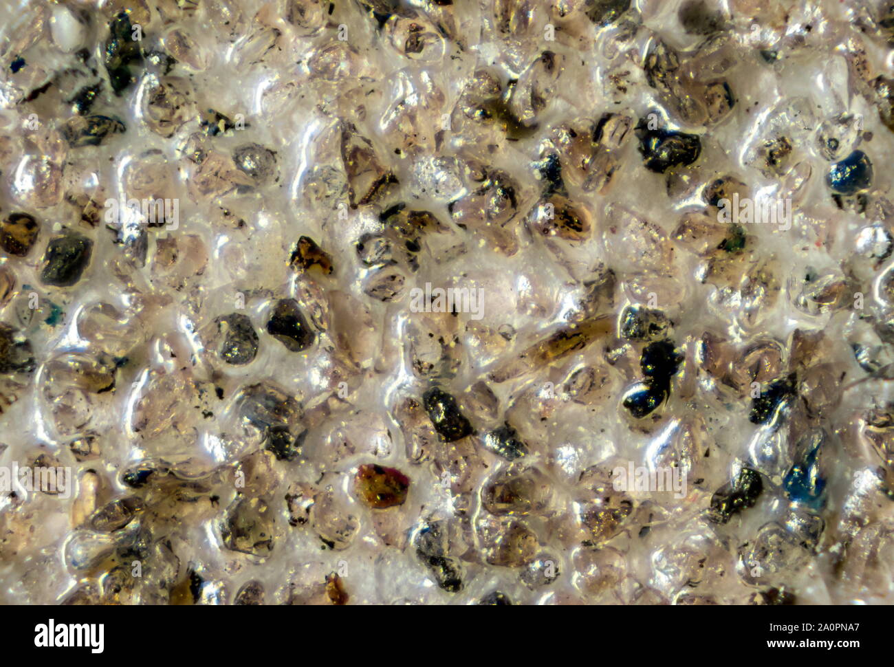 P120 verre fin quatre fois agrandie sous un microscope droit se compose de vingt photos empilées de discussion Banque D'Images