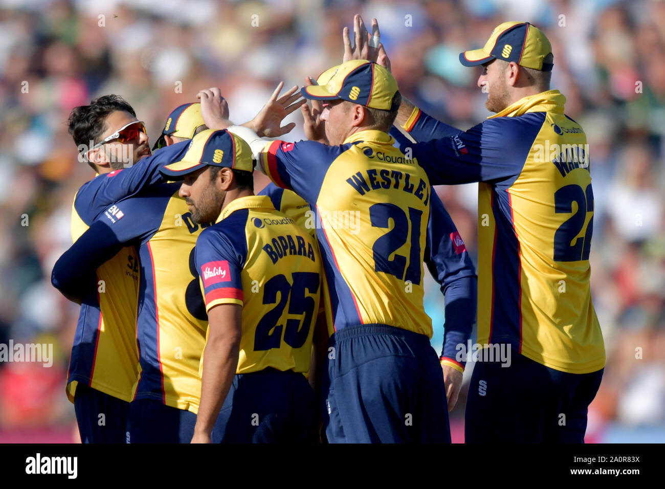Essex Eagles' Aron Nijjar célèbre bowling à Derbyshire Falcons' Wayne Madsen au cours de la demi-finale finale sur 2 jour de la vitalité T20 Blast à Edgbaston, Birmingham. Banque D'Images