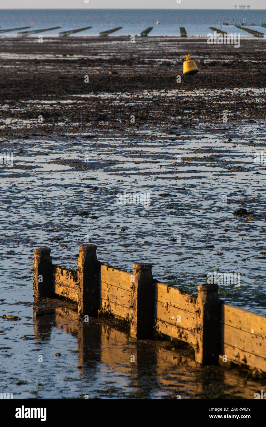 Les parcs à huîtres à marée basse dans la région de Hastings sur la côte du Kent à la fin de l'été Banque D'Images