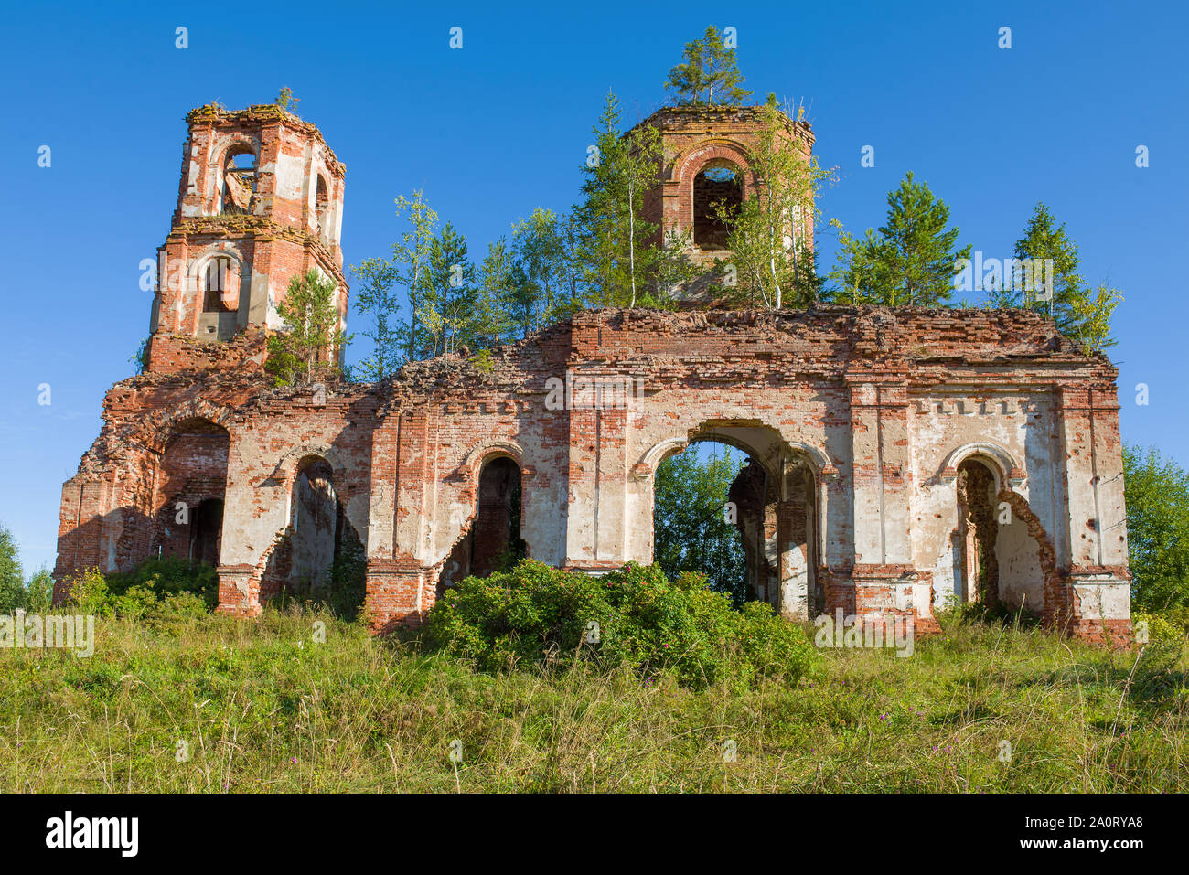 Ancienne église abandonnée Kazan close-up sous le soleil d'août 24. Le village de Russkie Noviki. Région de Novgorod, Russie Banque D'Images