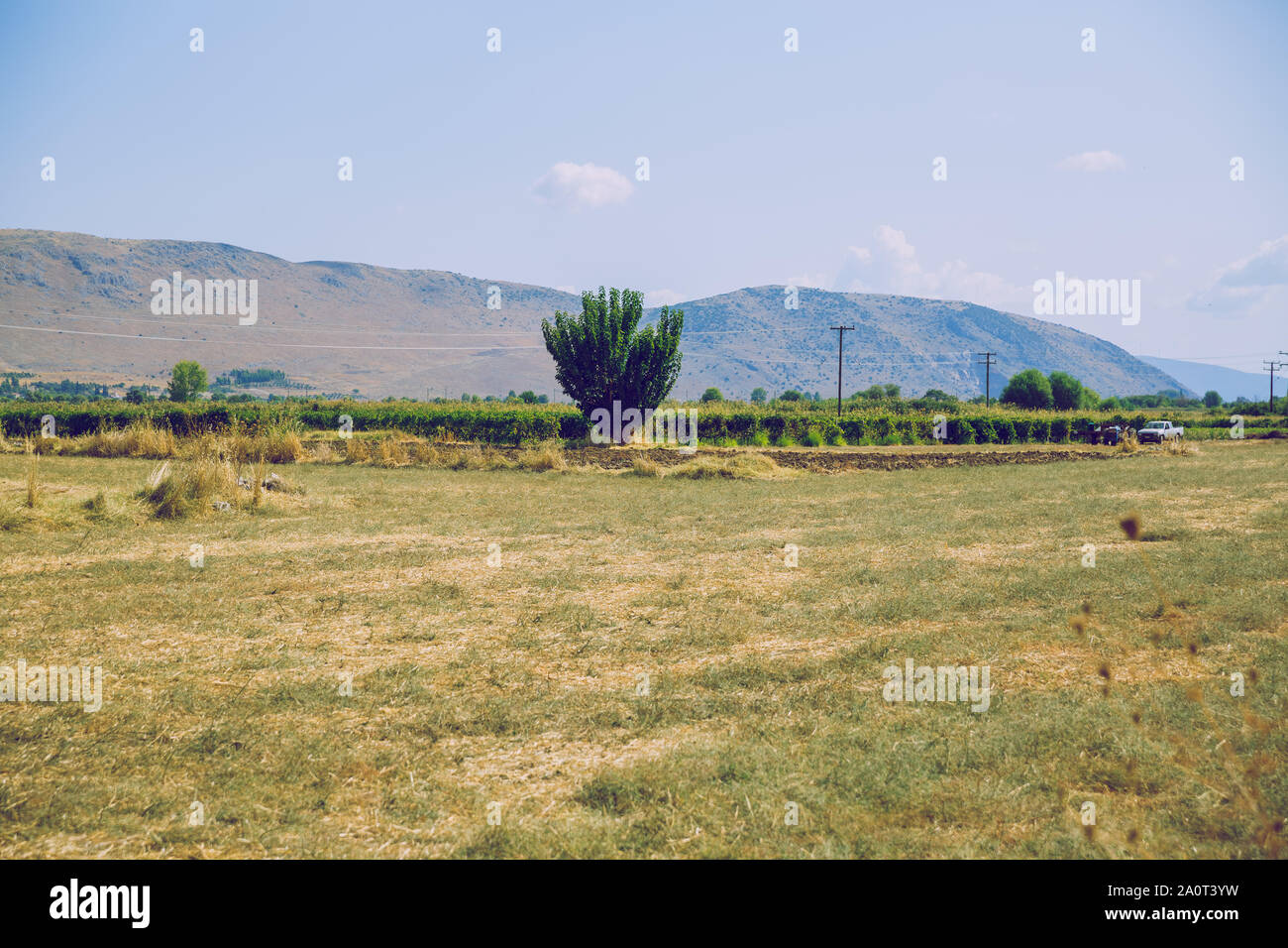 République grecque. Les champs et les montagnes, l'herbe et les arbres. Au loin les montagnes et ciel. 13. Septembre 2019. Banque D'Images