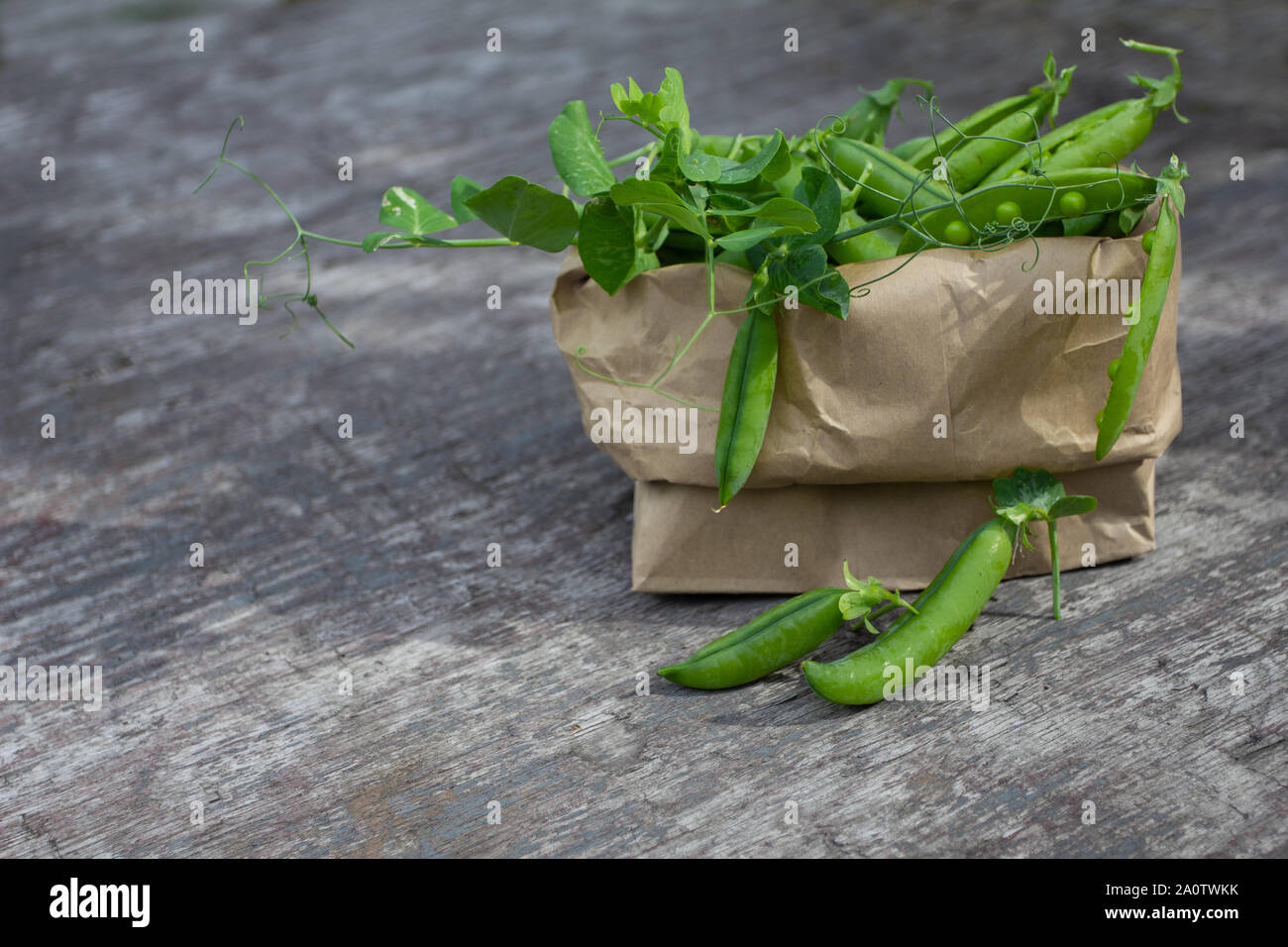 Pois verts frais dans la poche de papier gris sur fond texturé en bois vieilli Banque D'Images