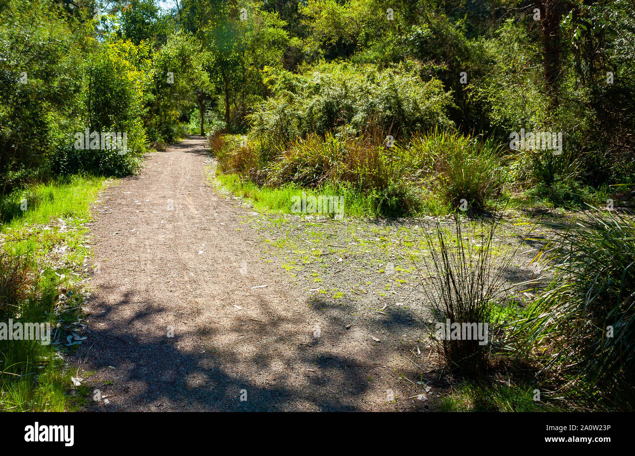 Pris une photo d'une des deux voies sur un sentier à Melbourne Banque D'Images