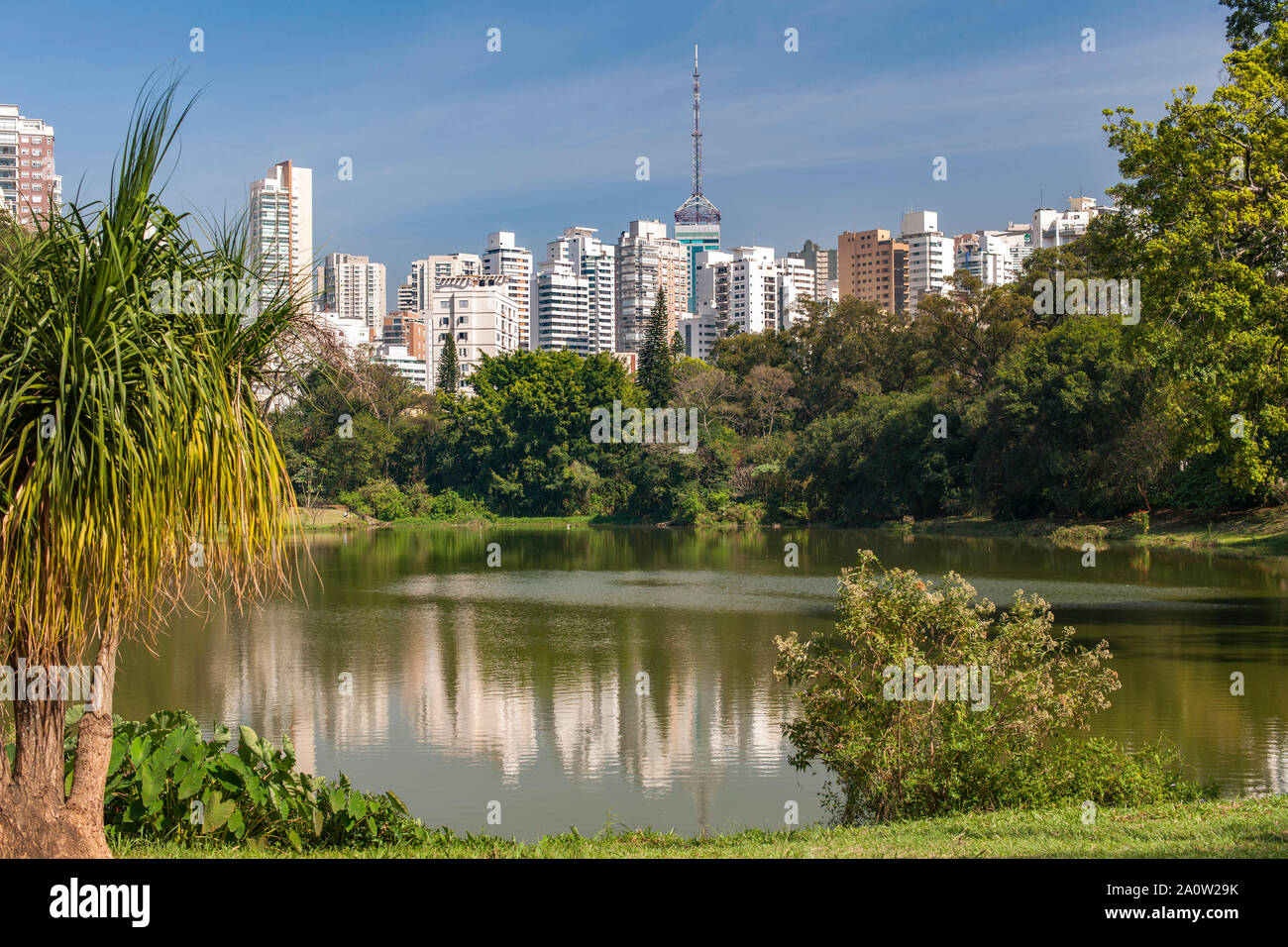 Parque Aclimação à São Paulo, Brésil. Banque D'Images