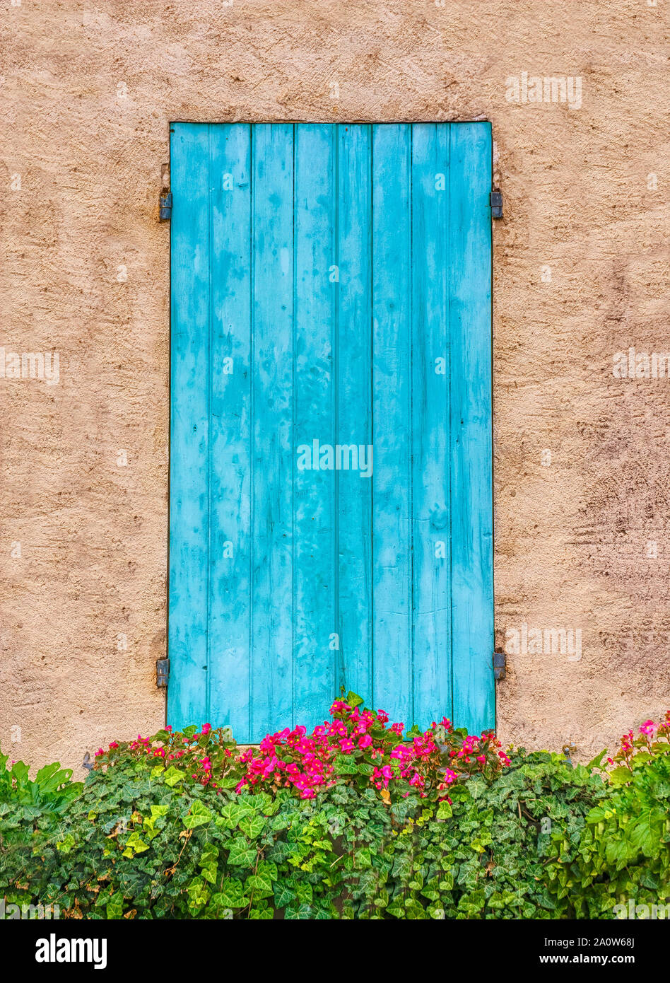 Volets en bois bleu joli, ressemblant à une porte, avec des fleurs poussant dans une fenêtre de dialogue, en Provence, France. Banque D'Images