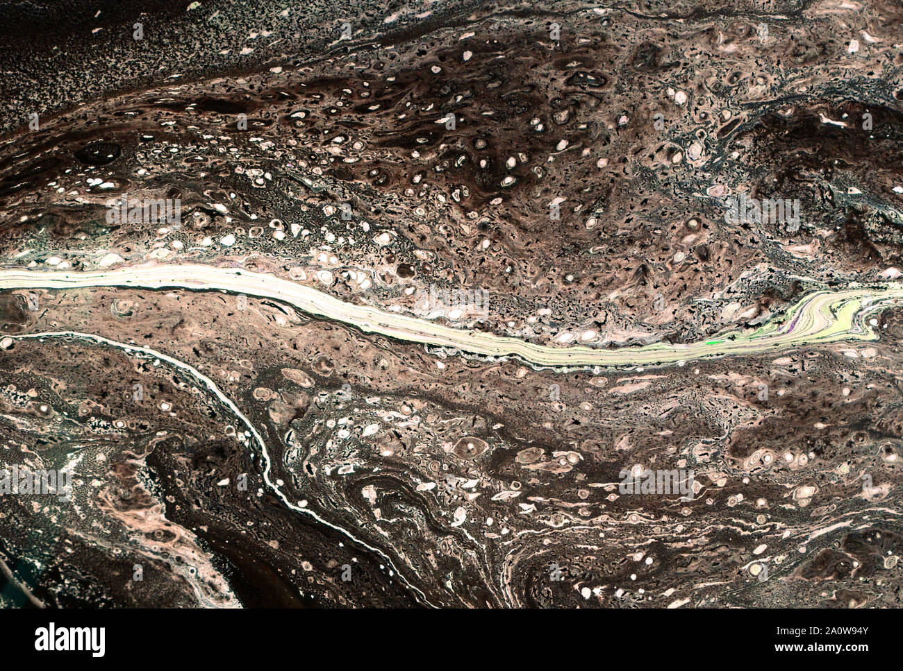 Abstract, artistique, art, toile, Fond, bannière, beau, lumineux, Carte, couleur, couleurs, composition, Concept, Copyspace, couvrir, créative, Banque D'Images