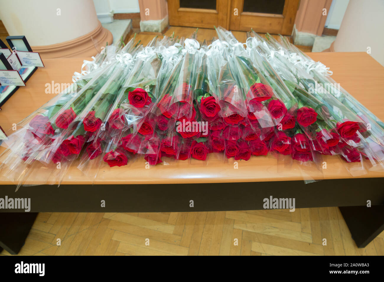 Bouquet de roses rouges pour la Saint Valentin félicitations et l'amour des couples show.bouquet roses rouges fond blanc copie espace.bouquet de rose rouge Valentine Banque D'Images
