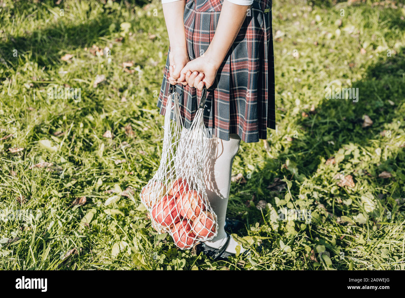 Bassin pour les mains tiennent un sac shopping coton string avec pommes rouges. Concept Zéro déchet d'automne Banque D'Images