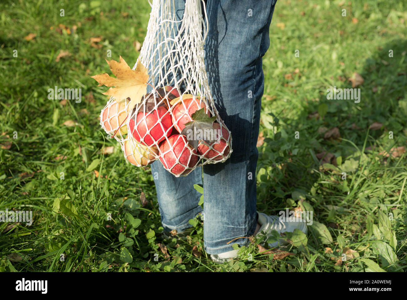 Femme coton sac shopping chaîne avec des pommes rouges. Concept Zéro déchet d'automne Banque D'Images