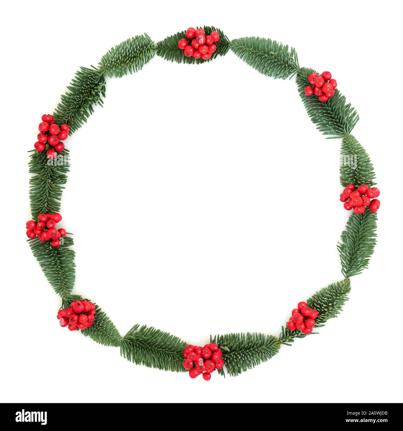 L'hiver et Noël holly et epicea sapin couronne sur fond blanc avec l'exemplaire de l'espace. Symbole traditionnel pour les fêtes. Banque D'Images