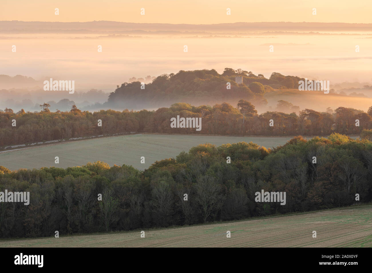 Couches de brume sur la campagne du Sussex près de Firle. Firle, East Sussex, Angleterre Banque D'Images