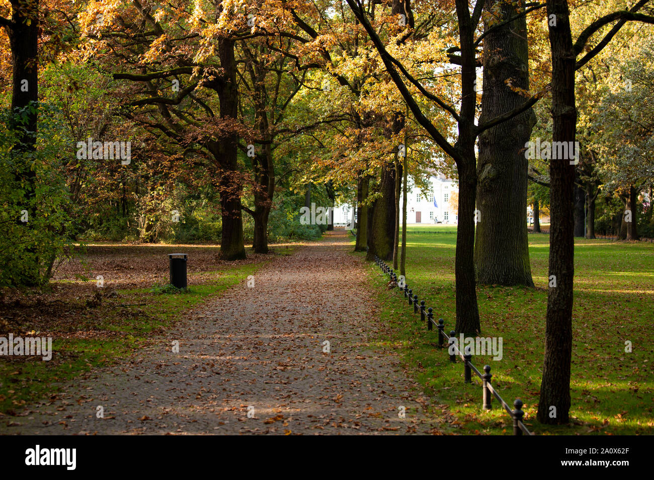 L'automne dans le parc de Tiergarten à Berlin Banque D'Images
