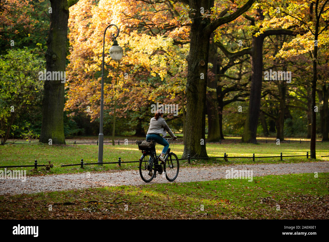 L'automne dans le parc de Tiergarten à Berlin Banque D'Images