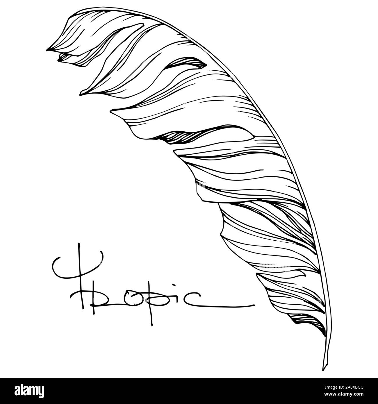 Hawaiian tropical exotique de vecteur de l'été. Palm Beach de feuilles d'arbres jungle botanique. Noir et blanc Encre gravée art. isolés feuilles élément illustration Illustration de Vecteur